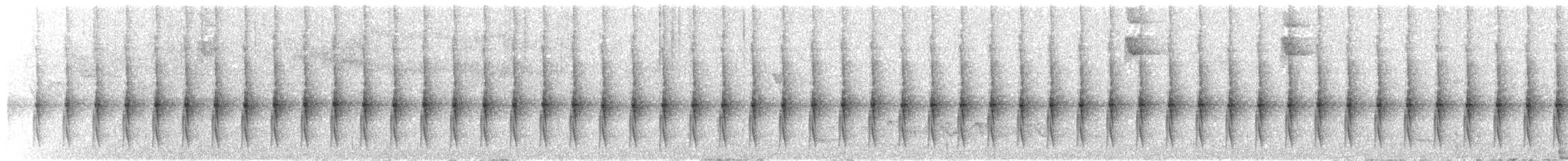 ネズミオタテドリ - ML646366586