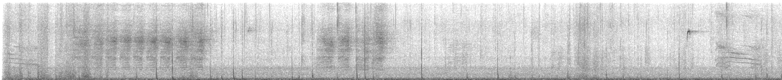 Gray Catbird - ML646366592