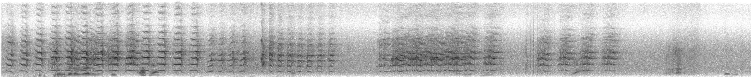 Cuban Amazon (Cayman Is.) - ML646366599