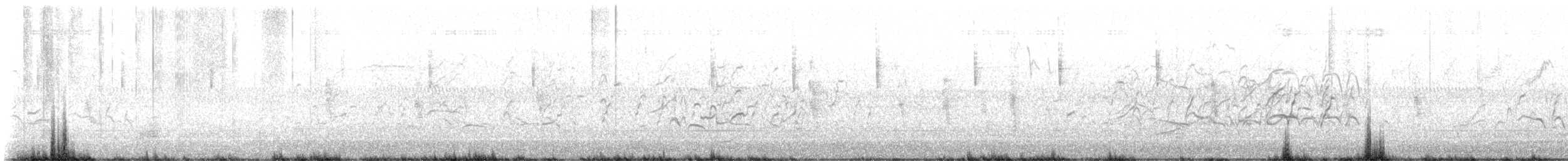 Black-bellied Whistling-Duck - ML646366600