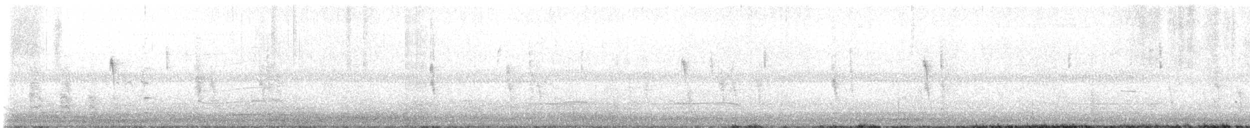 Clapper Rail - ML646366640