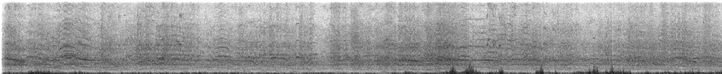 Red-crowned Amazon - ML646366673