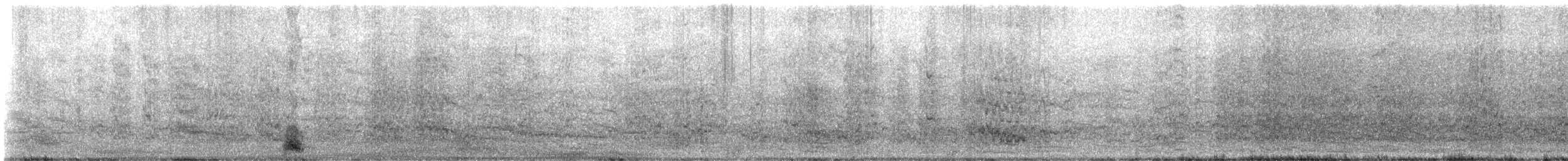 Grünwangenamazone - ML646366732