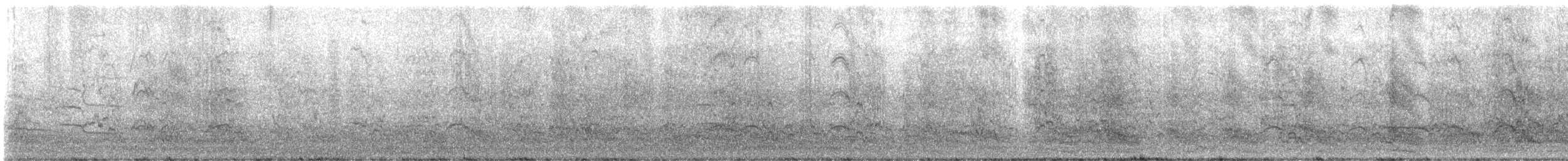 Red-crowned Amazon - ML646366777