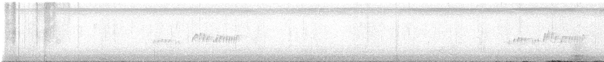 Tropical Kingbird - ML646367058