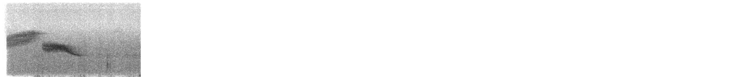 Vitelline Warbler - ML646367095