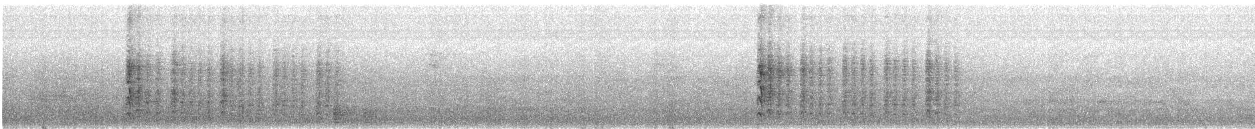 Yucatan Woodpecker - ML646367225