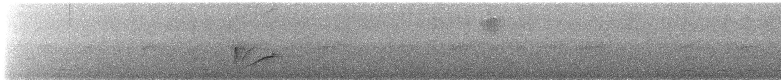 ズグロマユカマドドリ - ML646367331