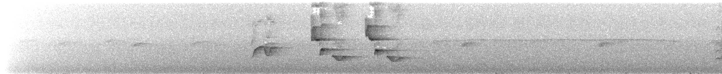 Yellow-legged Thrush - ML646367381