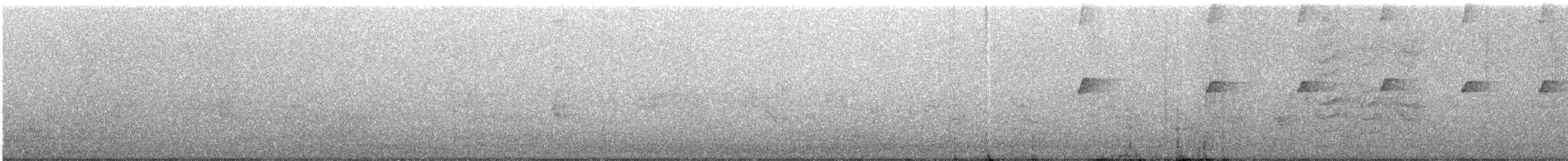 Kurzschwanz-Todityrann - ML646367402