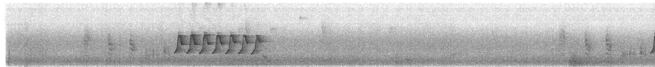 Cozumelzaunkönig - ML646367695