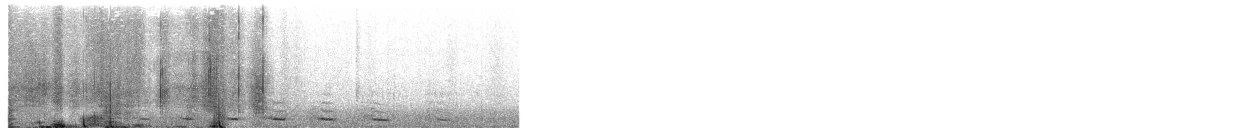 Great Black-backed Gull - ML646369179