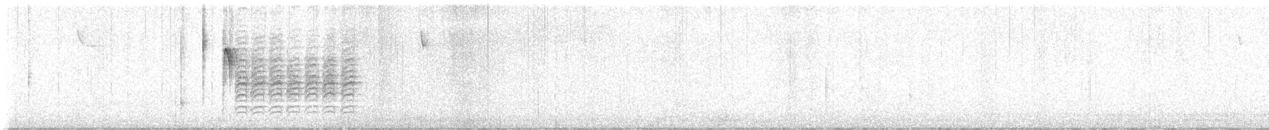 Carolina Chickadee - ML646369646