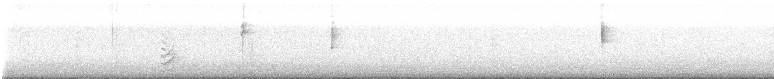 Phainopepla - ML646369718