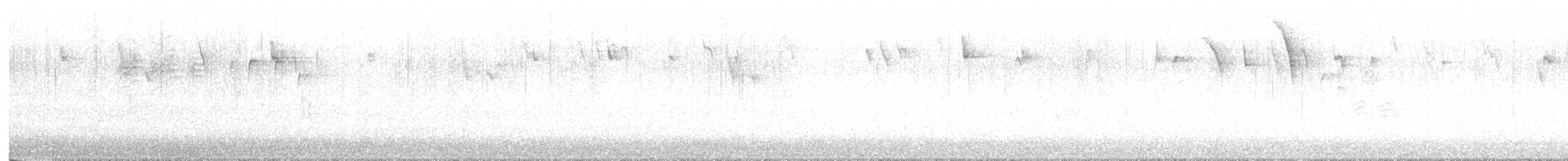 Carolina Chickadee - ML646369899