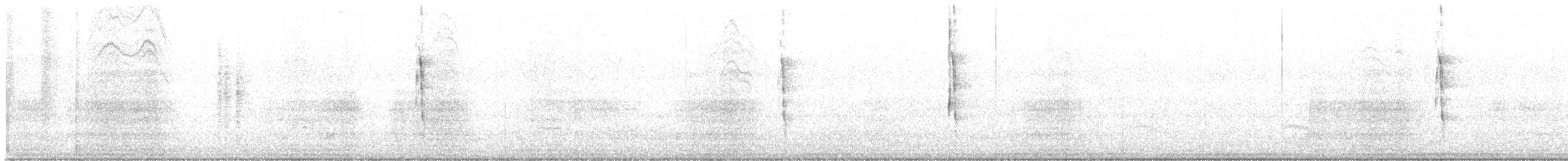 Lewis's Woodpecker - ML646369969