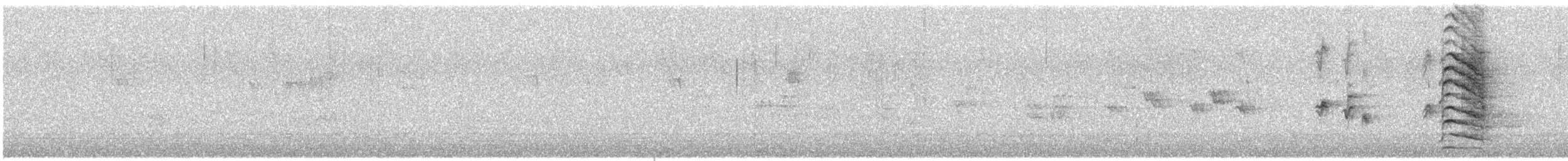 sojka chocholatá - ML646370060