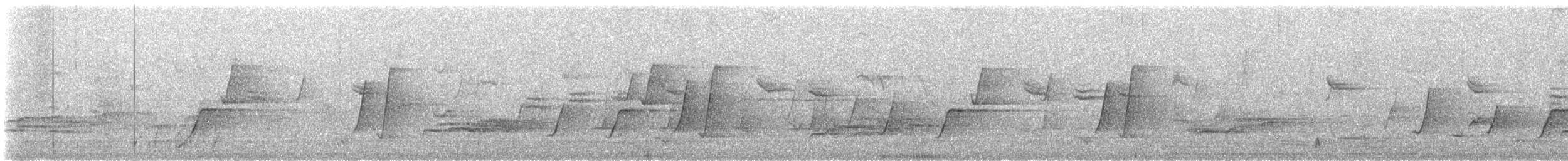 Bassian Thrush - ML646370127