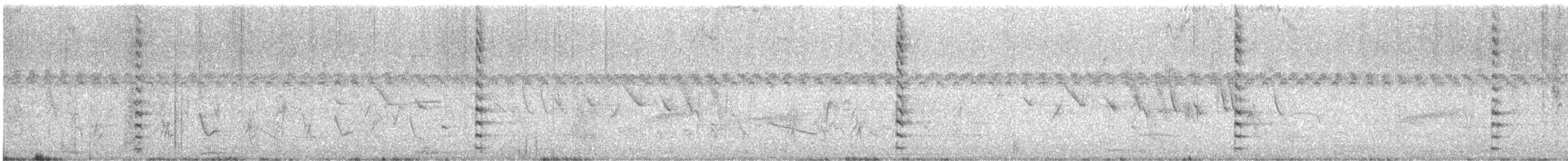 slípka americká - ML646370419
