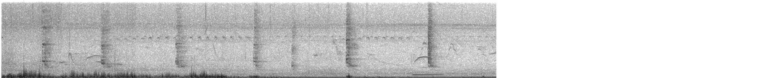 Striated Heron - ML646370589