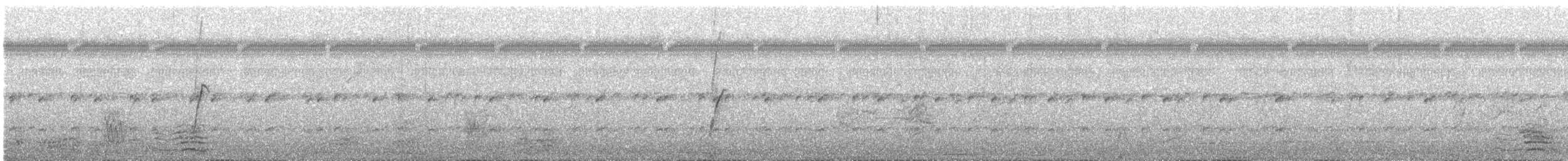 Paují Tuberoso - ML646370650