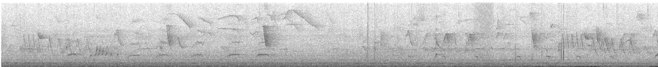 Copetón Tiranillo - ML646370651