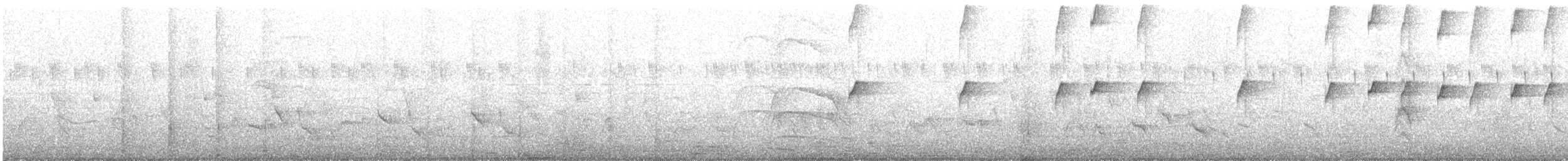 Titirijí de Maracaibo - ML646370716