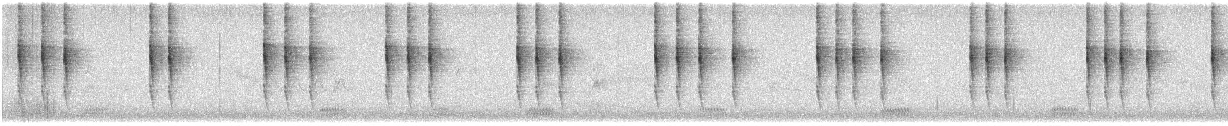 Chochín del Pacífico - ML646370821