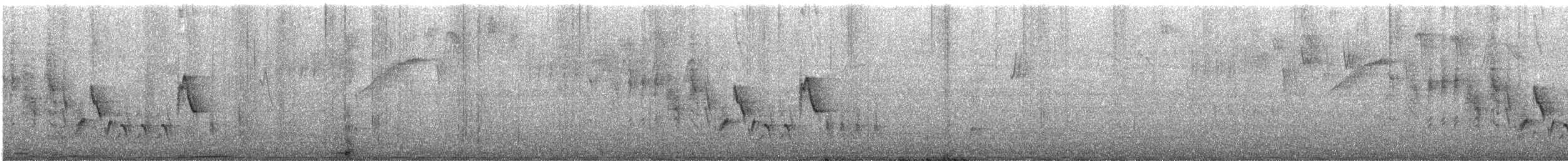 Chochín Criollo Sureño - ML646370843