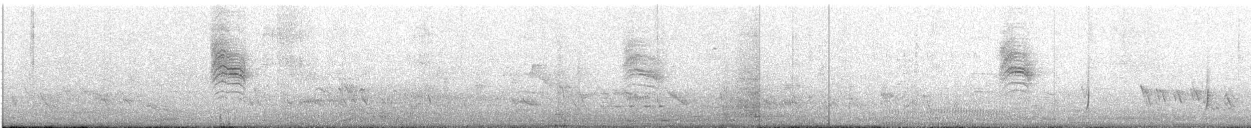 Tropical Gnatcatcher - ML646371366