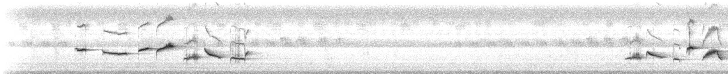 Oriental Magpie-Robin - ML646371369