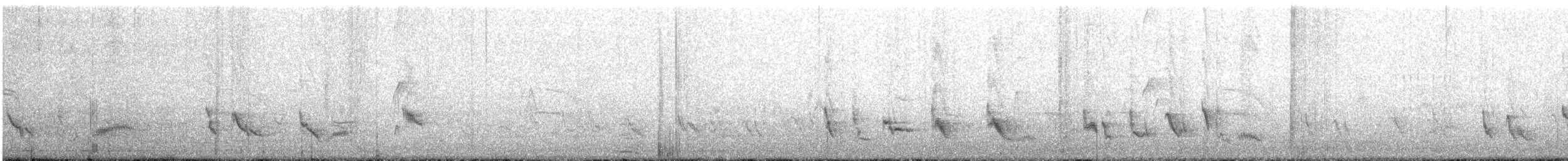 Sinsonte Tropical - ML646371378