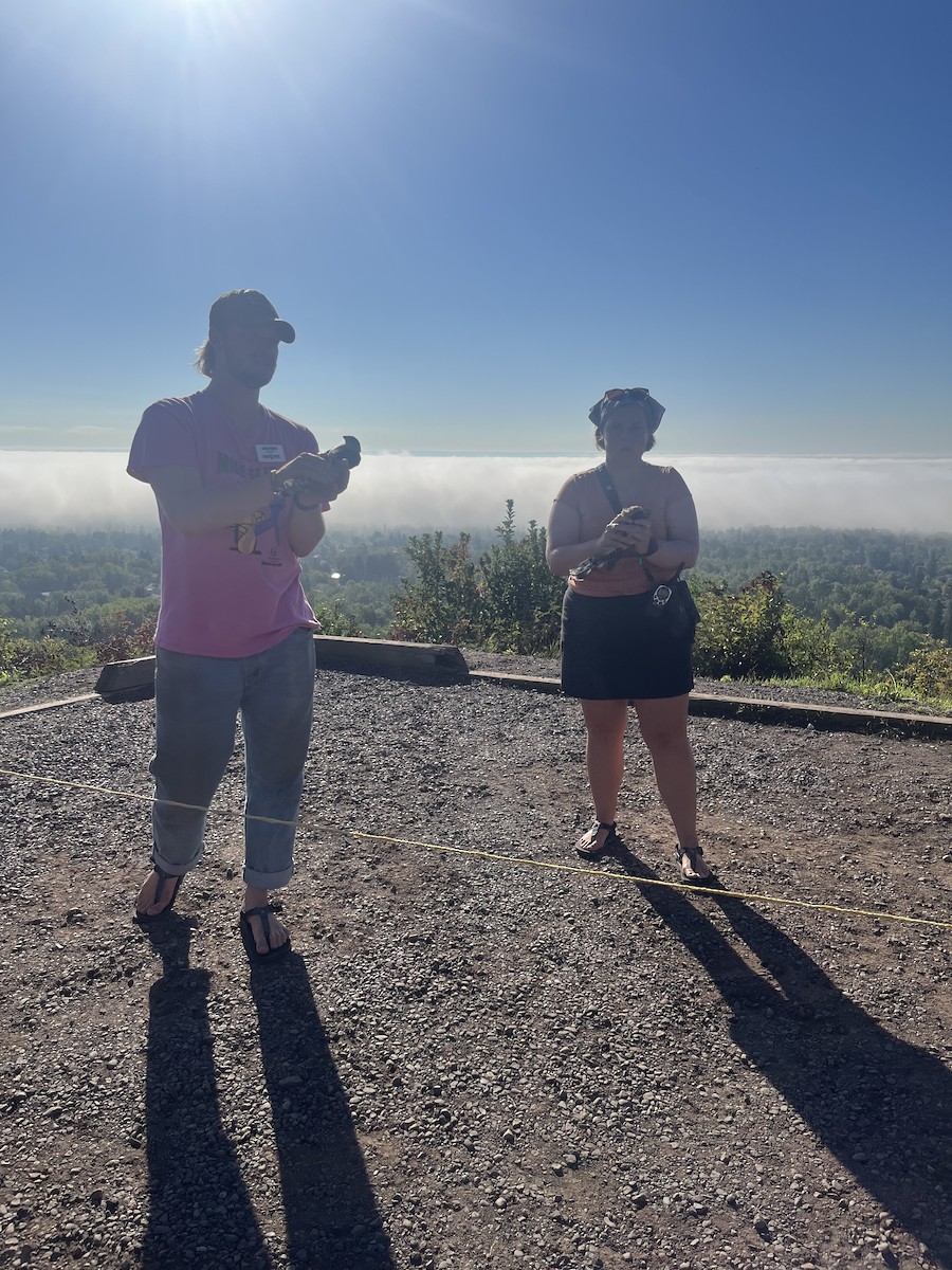 Gavilán Americano - ML646372034