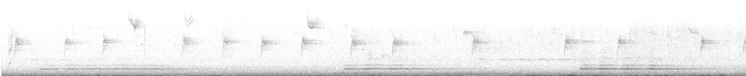 Common Raven - ML646372221