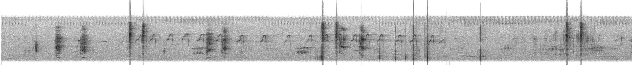 Troglodyte des marais - ML646372293