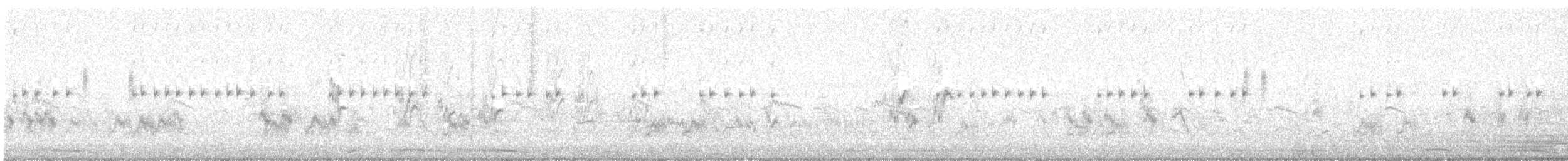 Akça Prinya - ML646372742