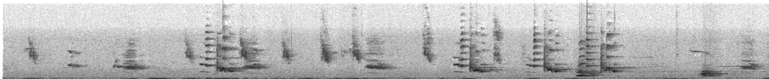 Bağırgan Keşişkuşu - ML646372867