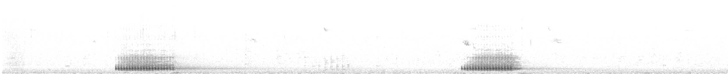 Hairy Woodpecker - ML646373041