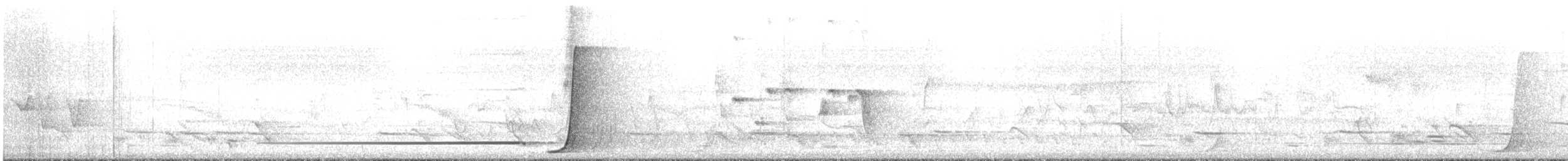 Eastern Whipbird - ML646373104