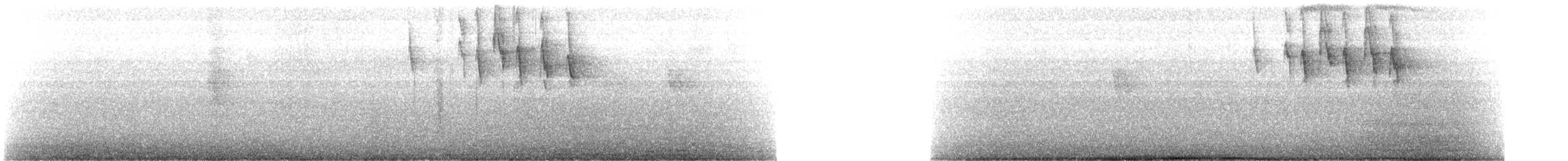 Cinereous Conebill - ML646373113