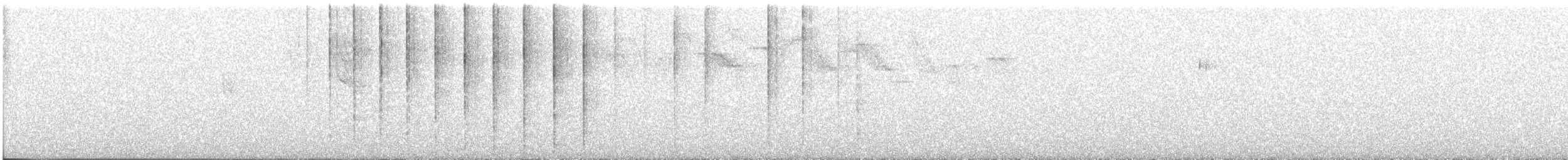 Голуб сизий (міський) - ML646373212