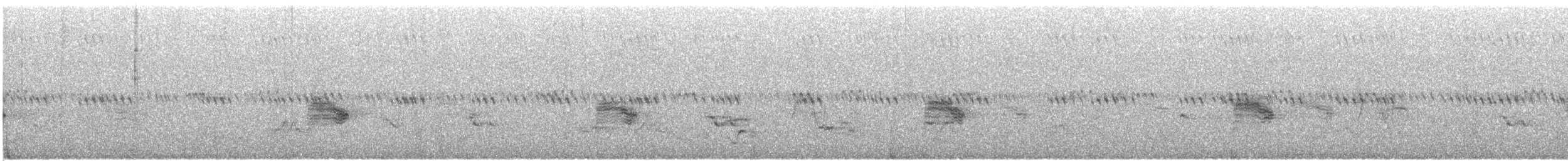 Анаперо віргінський - ML646373274