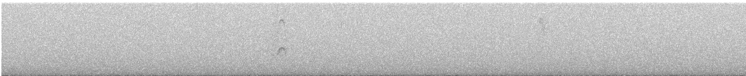 Тиранчик-короткодзьоб північний - ML646373308