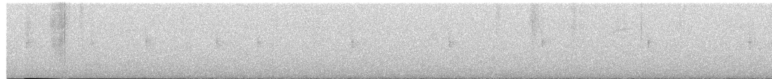 Смугастоволець річковий - ML646373345