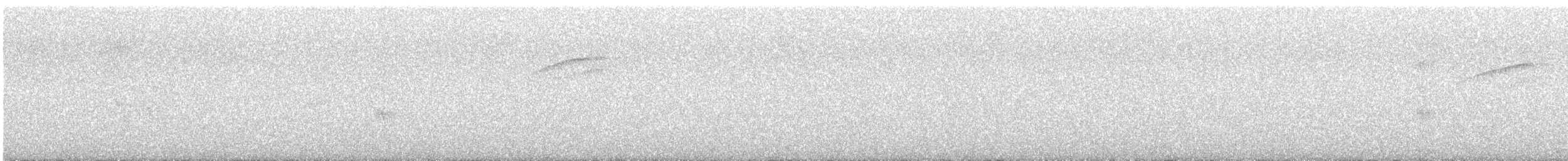 Саяка венесуельська - ML646373353