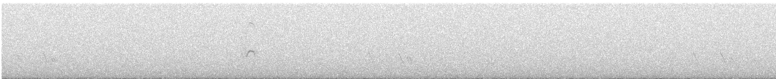 Тиранчик-короткодзьоб північний - ML646373402