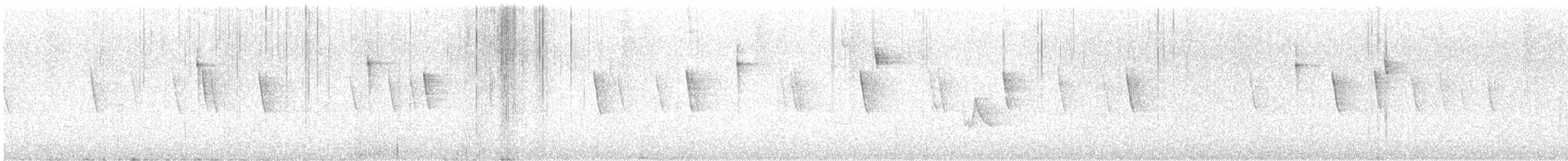 Віреон білобровий - ML646373627