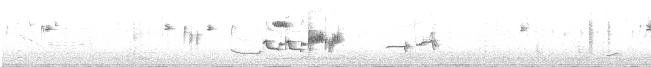 Бруант білобровий - ML646374000