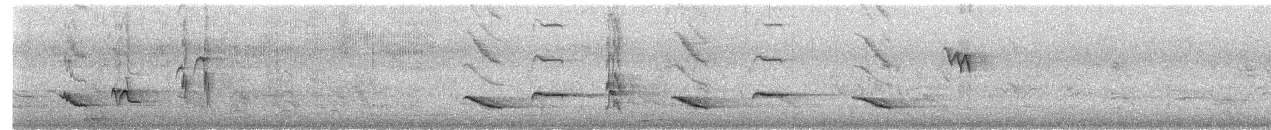 Austral Thrush - ML646374134