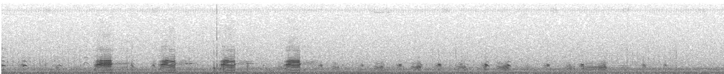 Mallard (Domestic type) - ML646374379